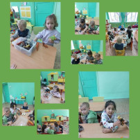 Знакомство с животным миром. Знакомство с животным миром.