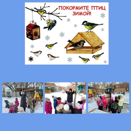 Муниципальная экологическая акция «Покормите птиц зимой». Муниципальная экологическая акция «Покормите птиц зимой».