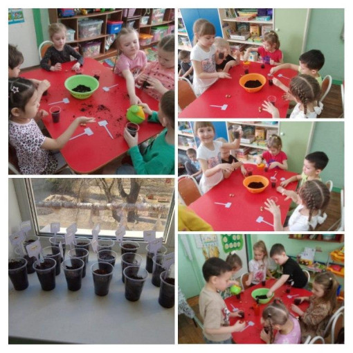 «Посадка лука". «Посадка лука".